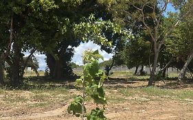 Pousada Do Futuro